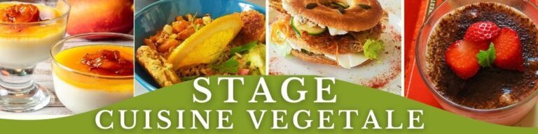 Stage cuisine vegetale vegetime